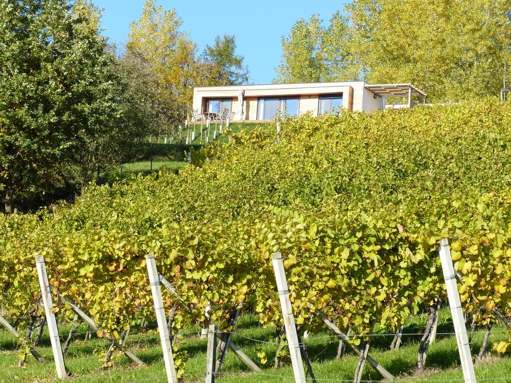 Weingarten-Resort Unterlamm Loipersdorf - Adults Only エクステリア 写真