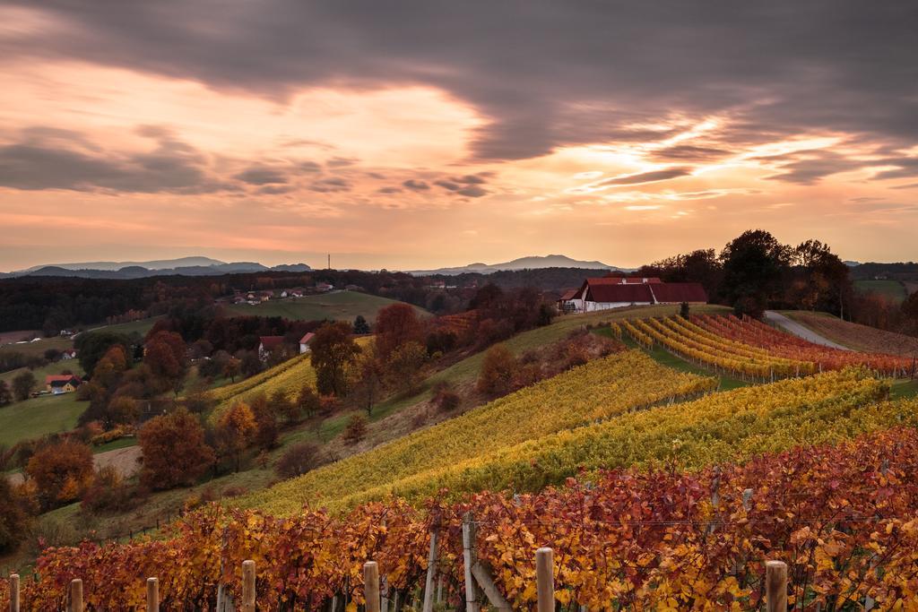 Weingarten-Resort Unterlamm Loipersdorf - Adults Only エクステリア 写真