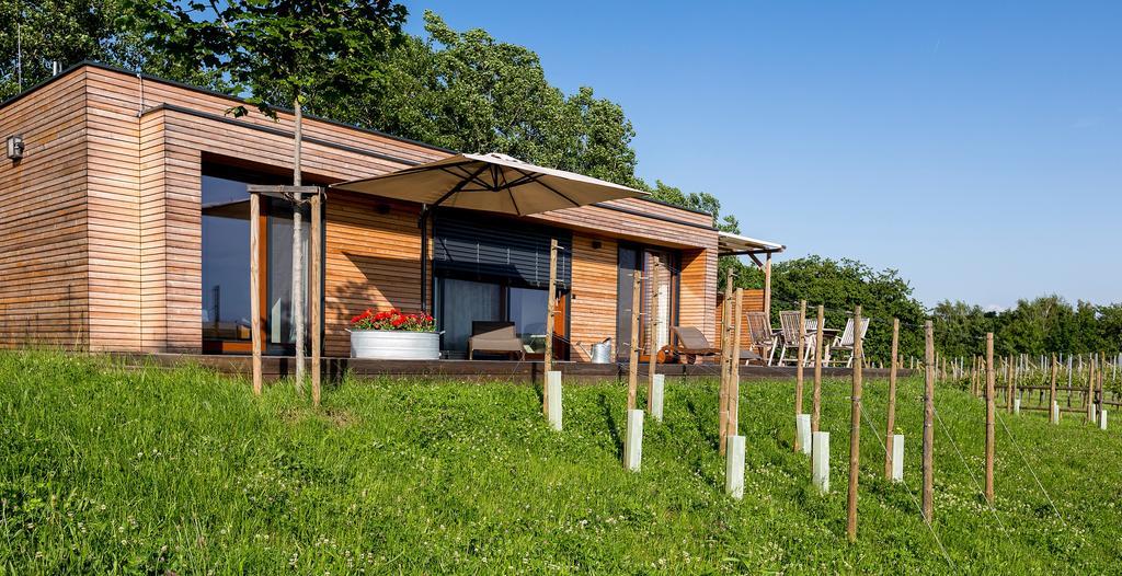 Weingarten-Resort Unterlamm Loipersdorf - Adults Only エクステリア 写真